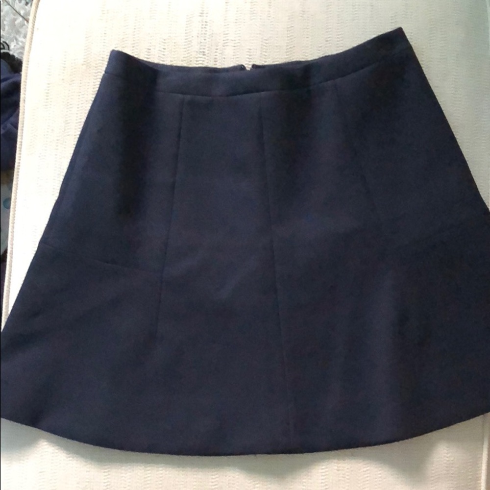 An A-line J-Crew miniskirt